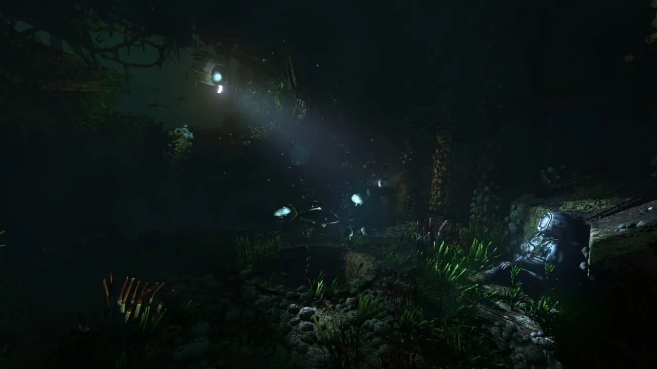 SOMA — 6