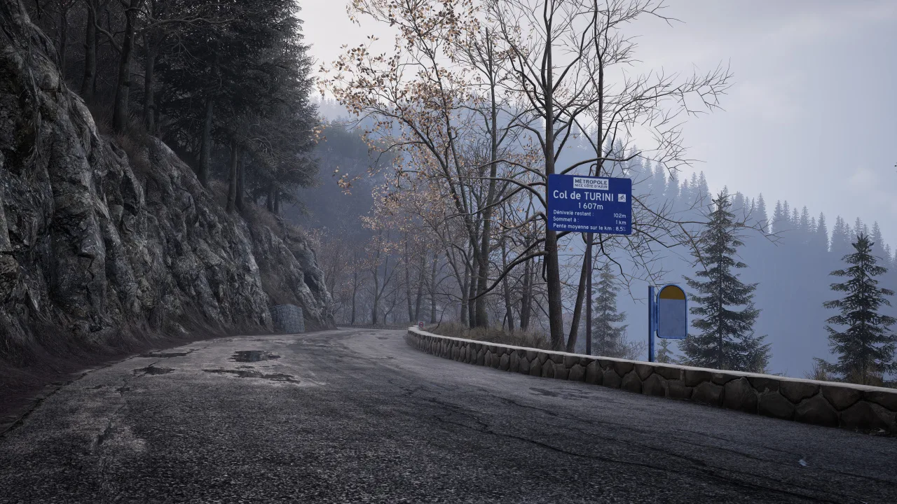 Assetto Corsa Rally — 7