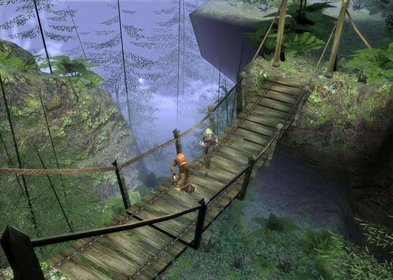 Dungeon Siege 2 — 1