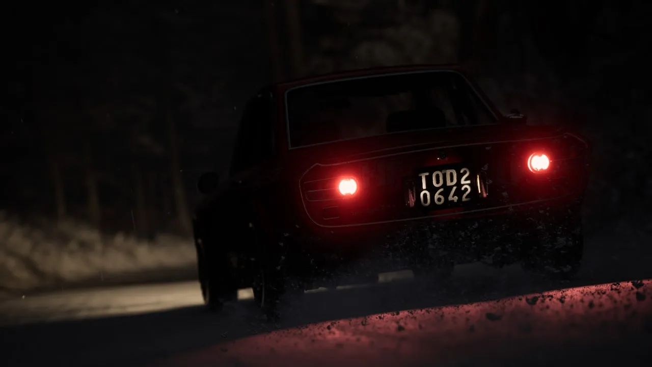 Assetto Corsa Rally — 8