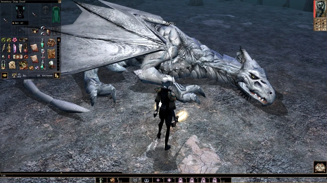 Neverwinter Nights: Enhanced Edition — 4