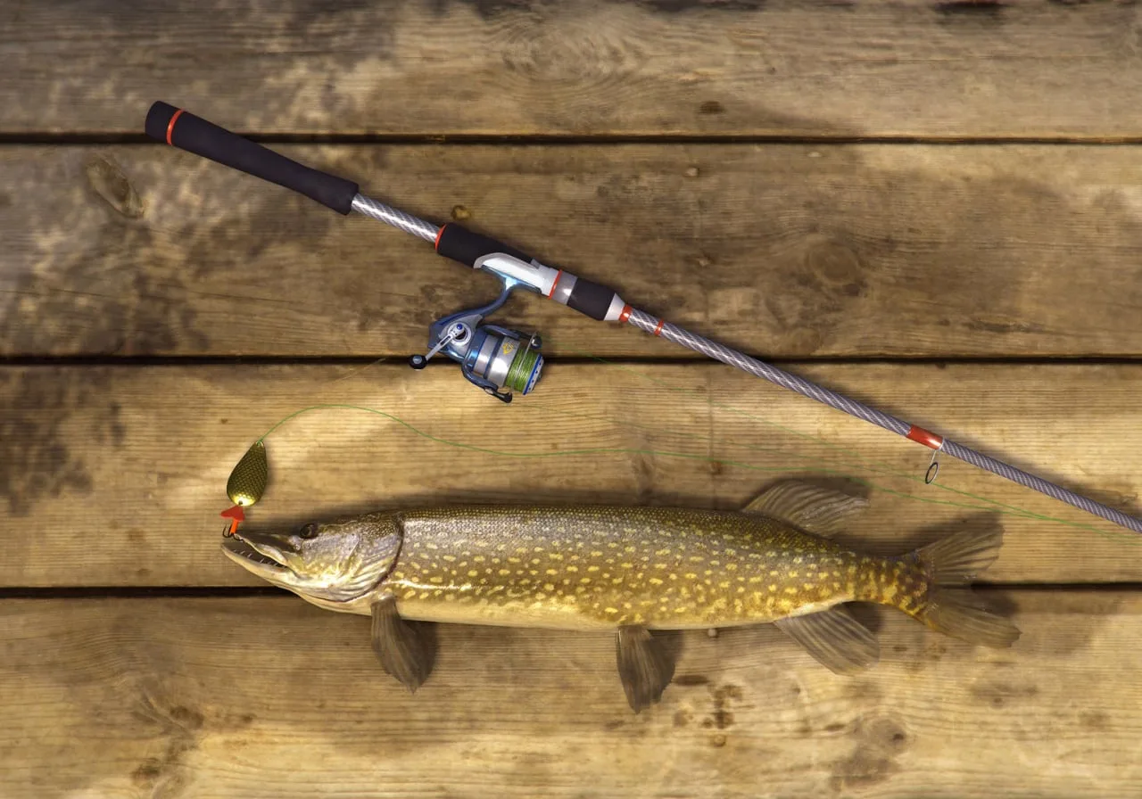 Fishing Planet — 9