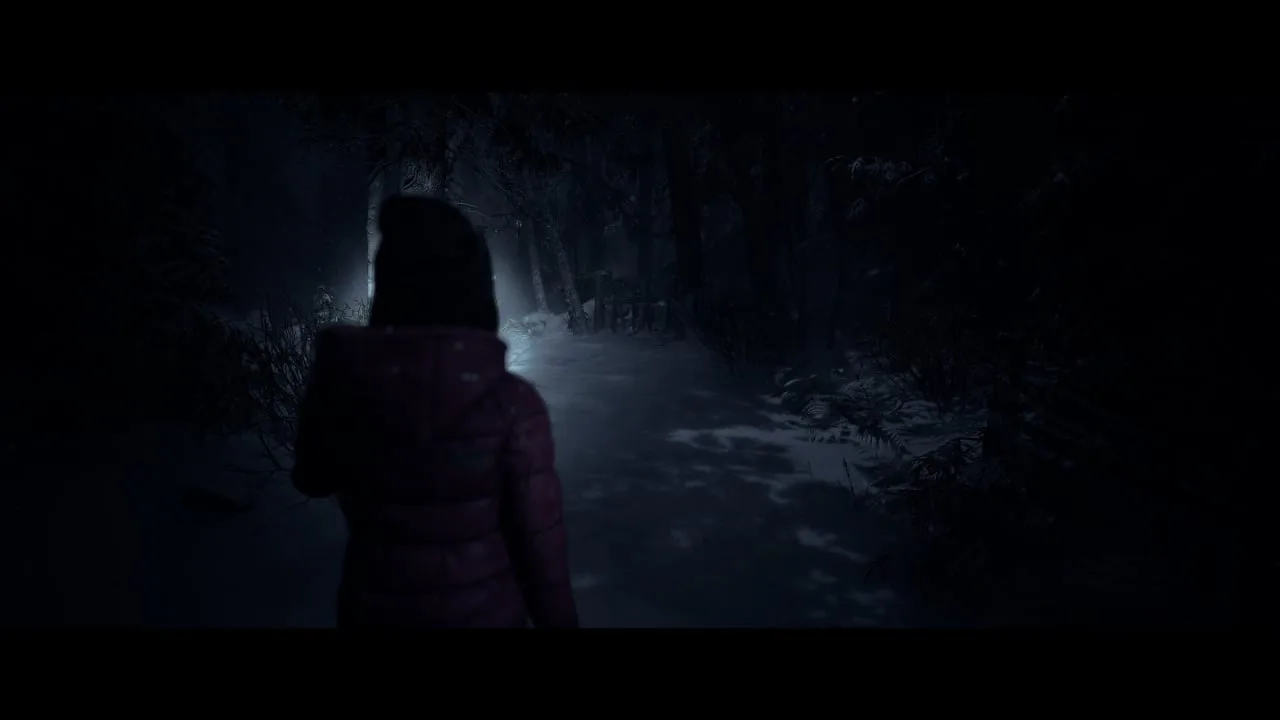 Until Dawn — 11