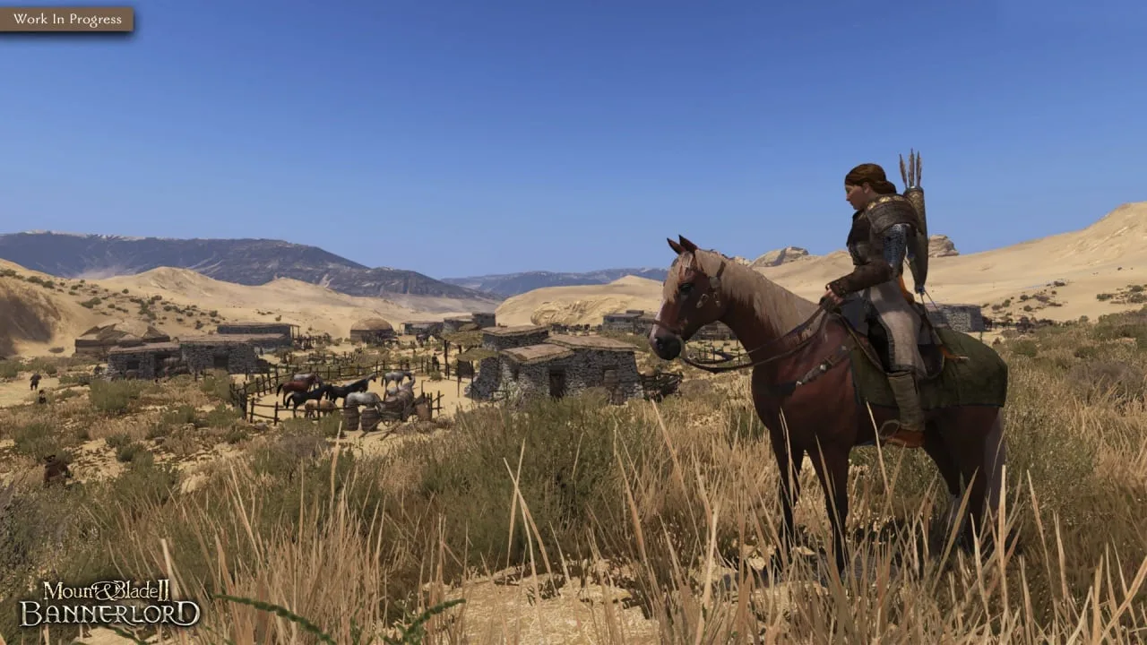 Mount and Blade 2: Bannerlord — 9