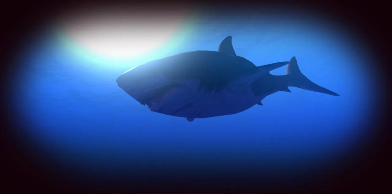 Feed and Grow: Fish — 5