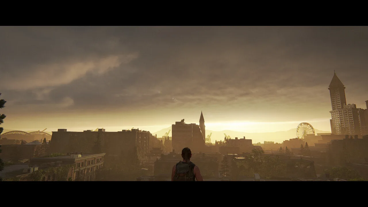 The Last of Us Part 2 Remastered — 11