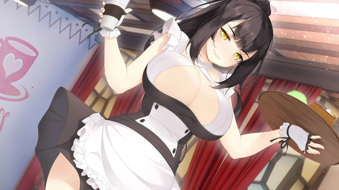 Maid Delight — 3