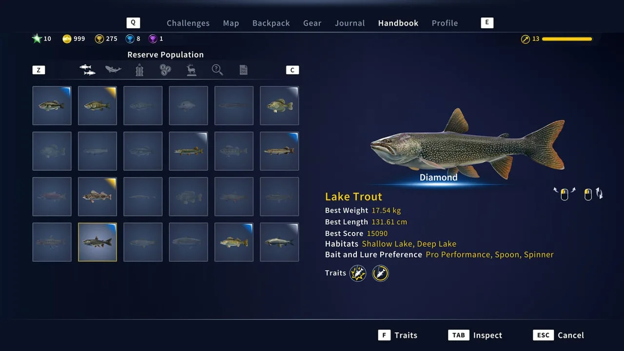 Call of the Wild: The Angler — 10