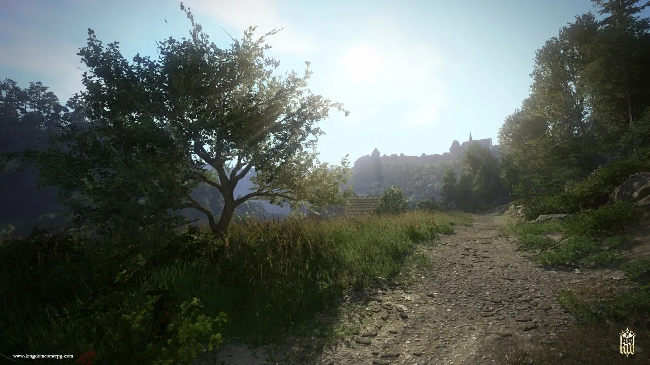 Kingdom Come: Deliverance — 8