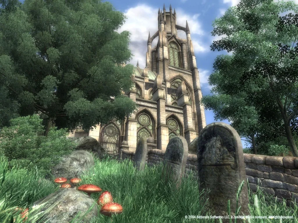 The Elder Scrolls 4: Oblivion Game of the Year Edition Deluxe — 10