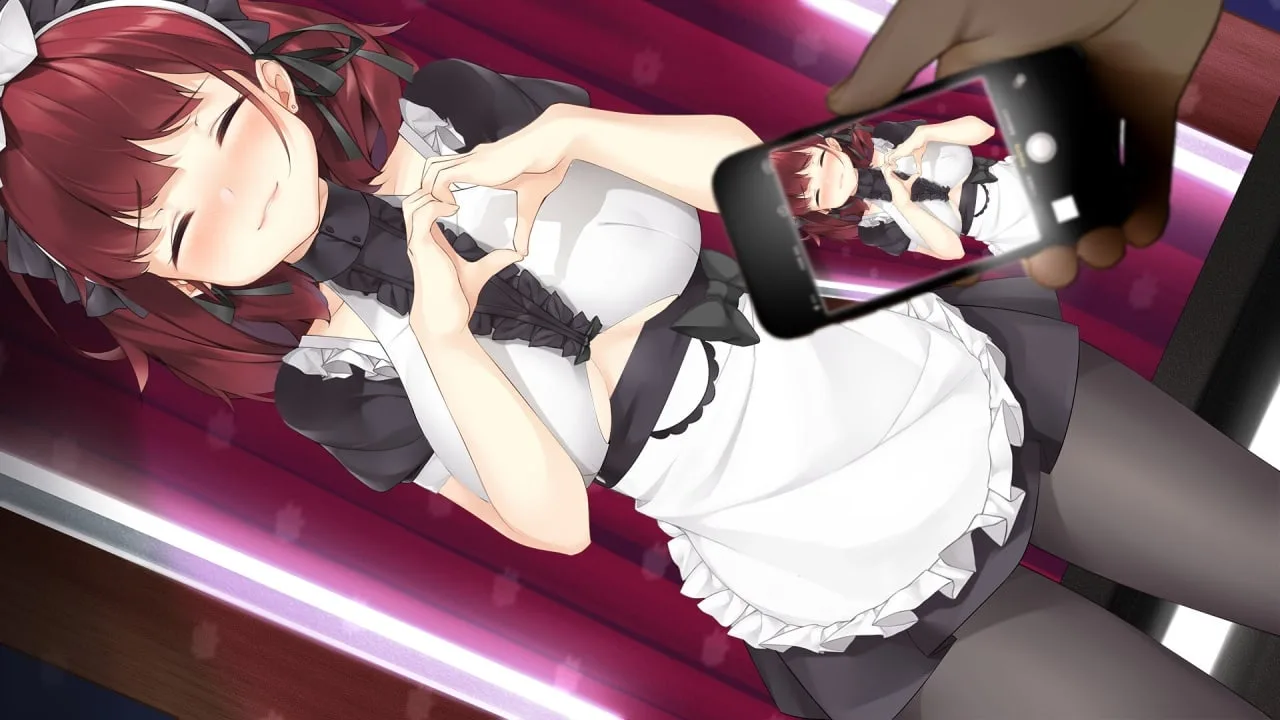 Maid Delight — 5