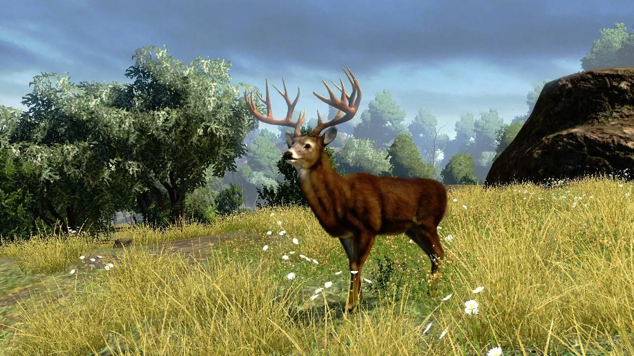 Cabela's Outdoor Adventures — 7