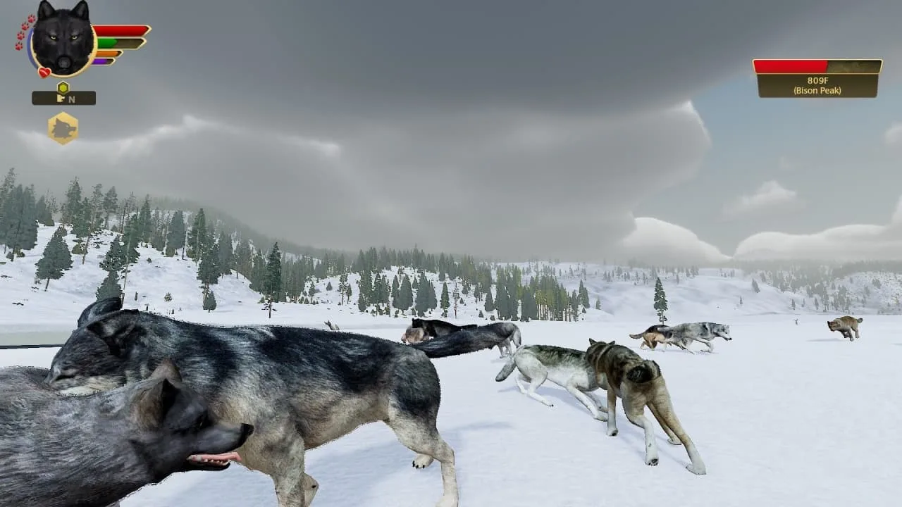 WolfQuest: Anniversary Edition — 3
