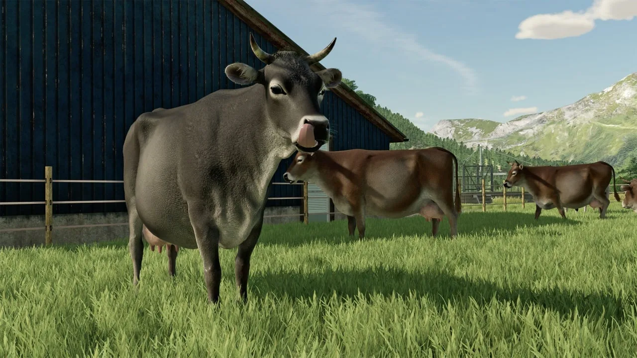 Farming Simulator 22 — 12