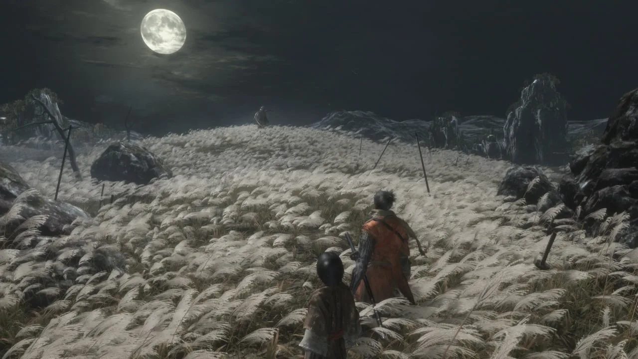 Sekiro: Shadows Die Twice — 3