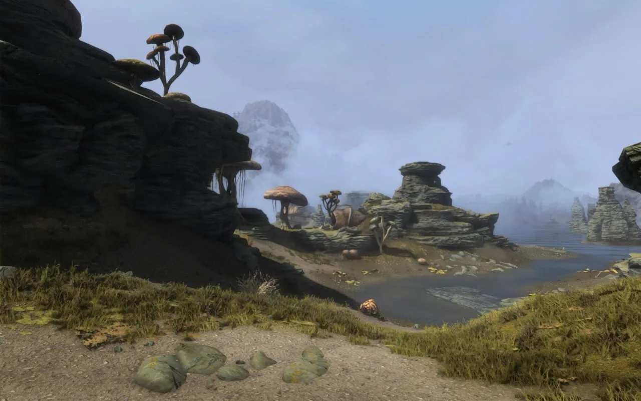 The Elder Scrolls: Skywind — 3