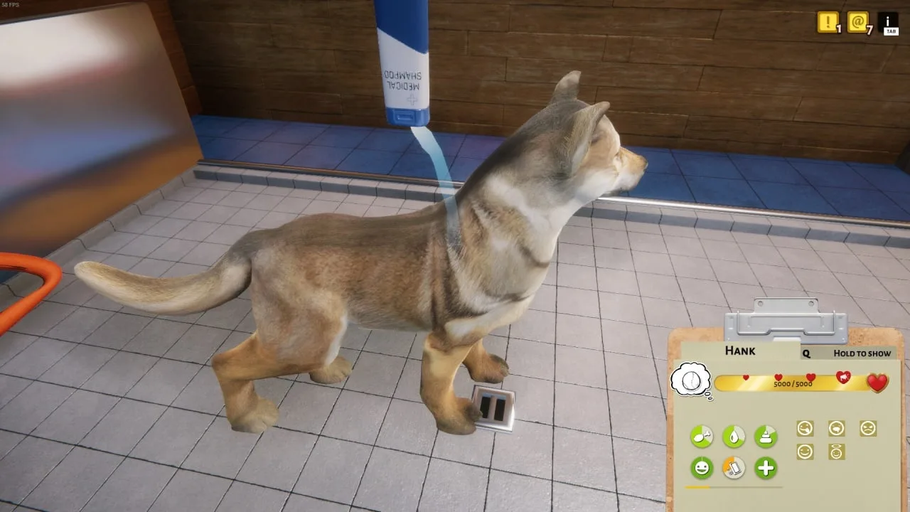 Animal Shelter — 9