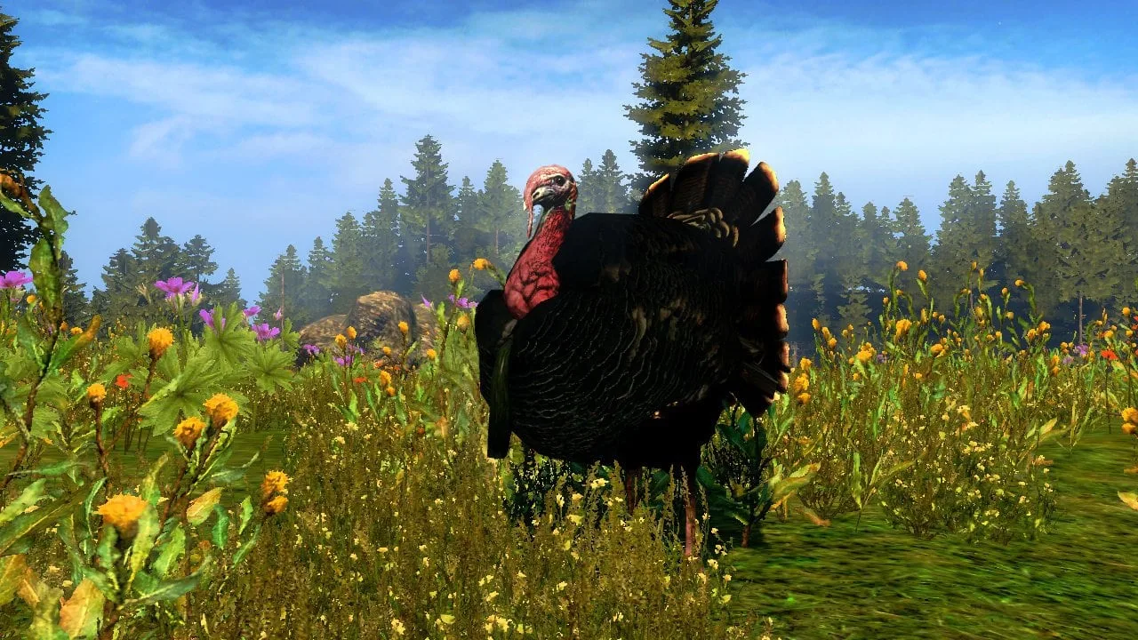 Cabela's Outdoor Adventures — 5