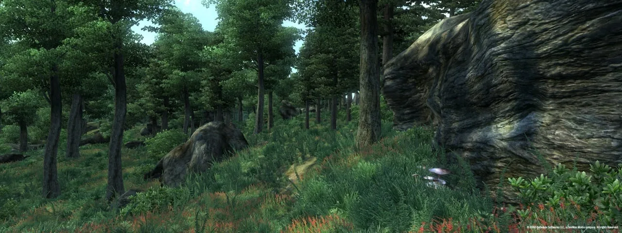 The Elder Scrolls 4: Oblivion Game of the Year Edition — 2