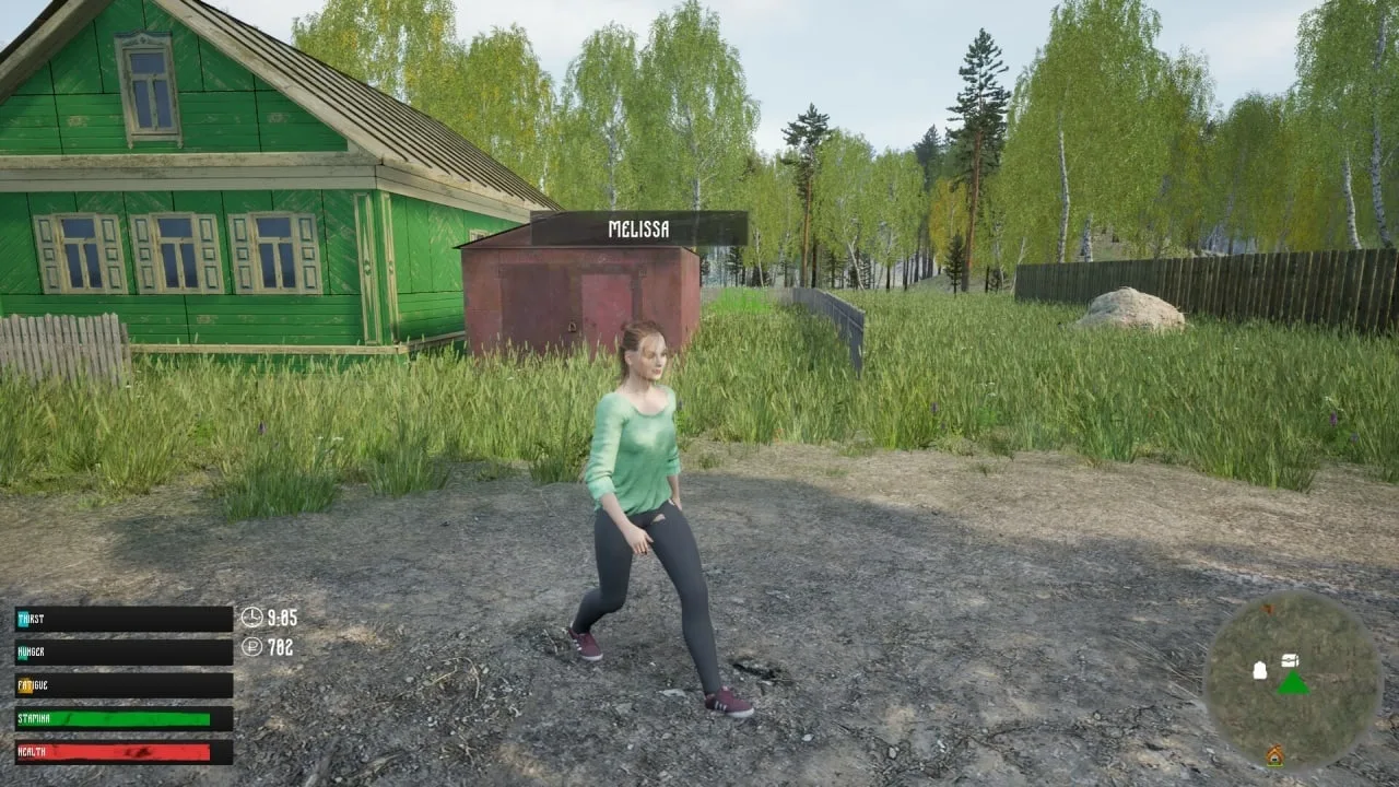 russian Village Simulator — 11