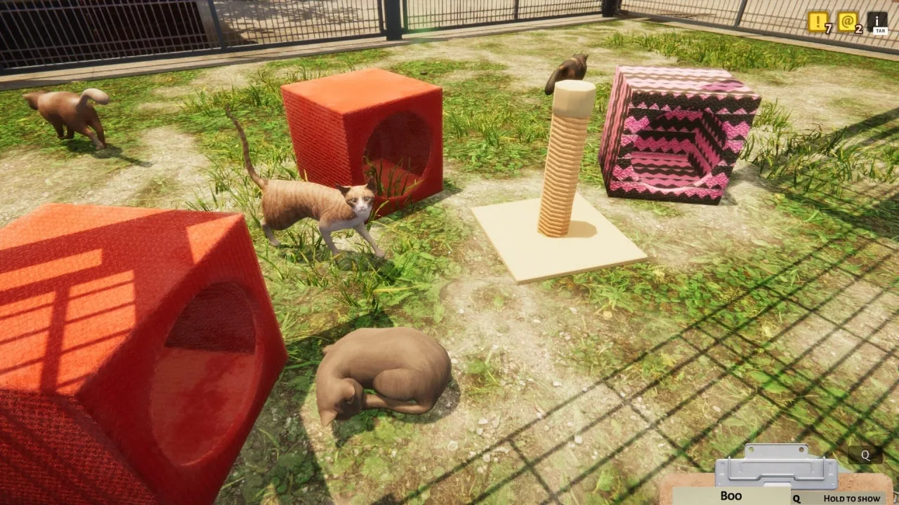 Animal Shelter — 4