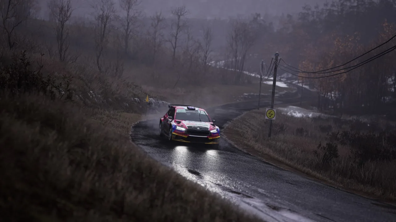 Assetto Corsa Rally — 5