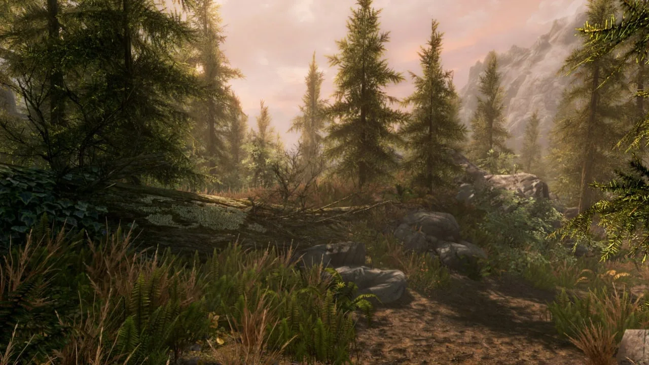 The Elder Scrolls 5: Skyrim Special Edition — 7