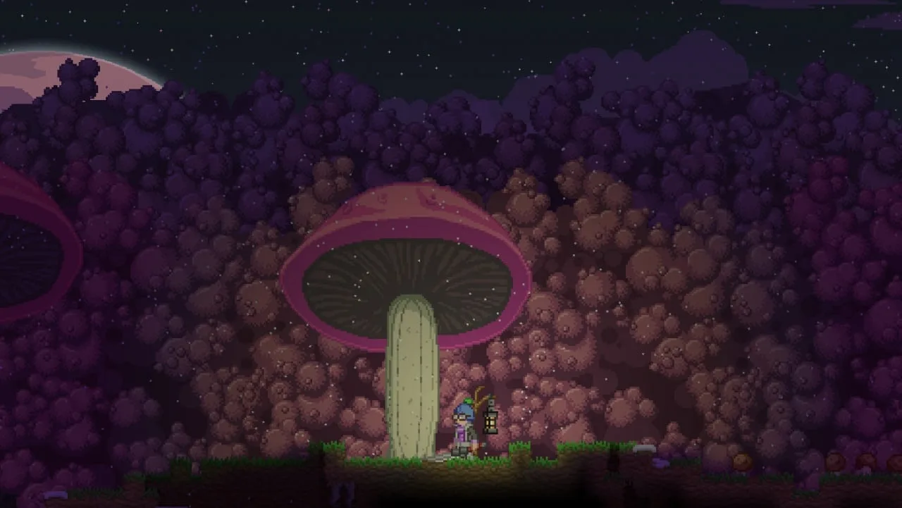 Starbound — 6