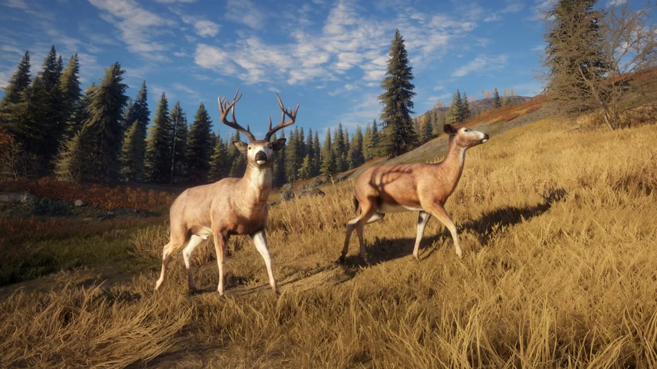 theHunter: Call of the Wild — 10